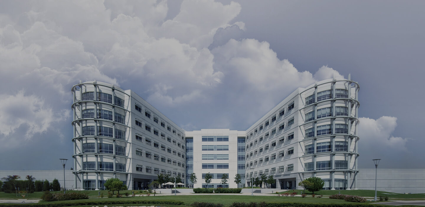 Anadolu Medical Center, glavna zgrada bolnice u Gebzeu kod Istanbula